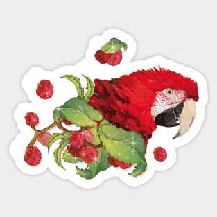 Aliverde Macaw Sticker